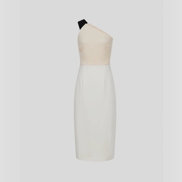 REISS Riana Color block Bodycon Dress in White/Nude/Black Womens Size 10 - Picture 5 of 11